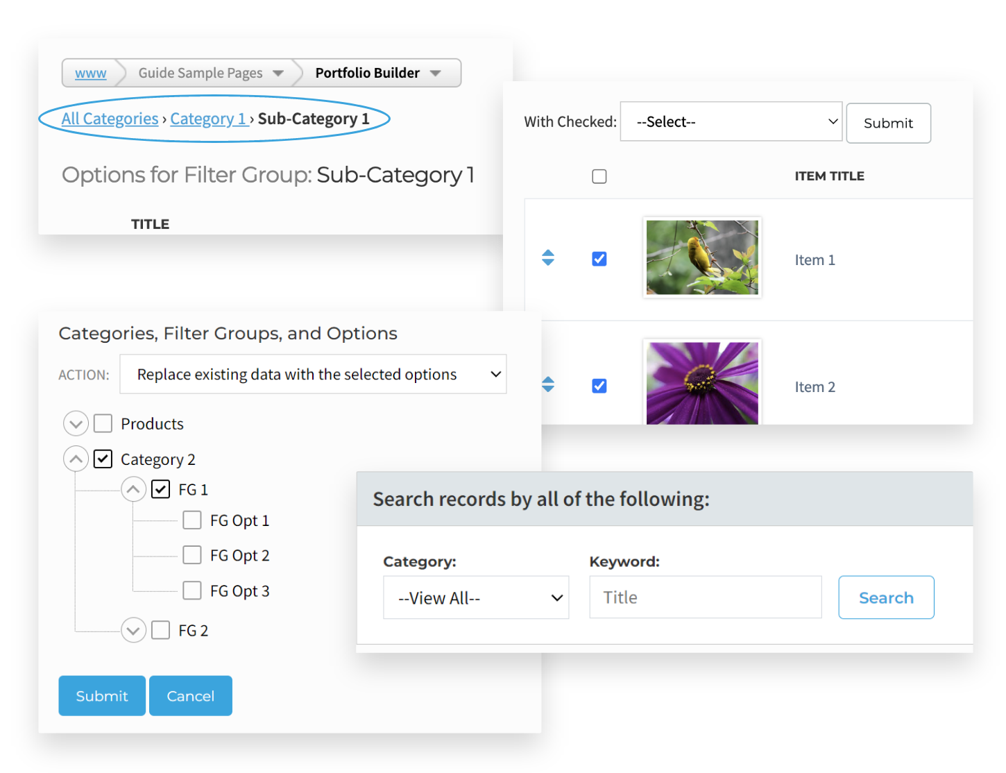 portfolio builder interface updates